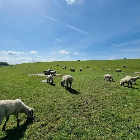 Apartment Nici Wohneinheit Leuchtturm